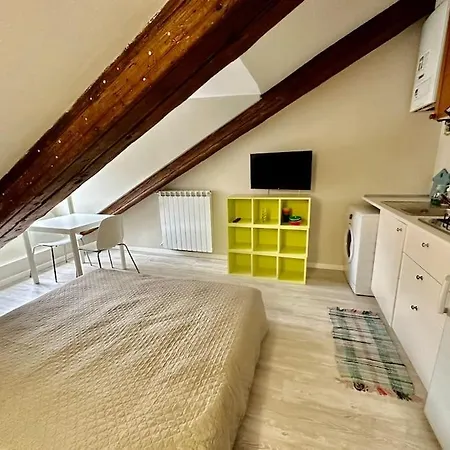 Piccolo Loft Sui Tetti Di Turin